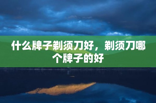 什么牌子剃须刀好，剃须刀哪个牌子的好