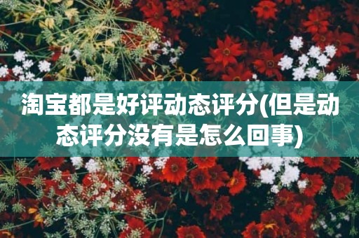 淘宝都是好评动态评分(但是动态评分没有是怎么回事)