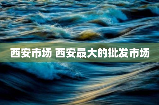 西安市场 西安最大的批发市场