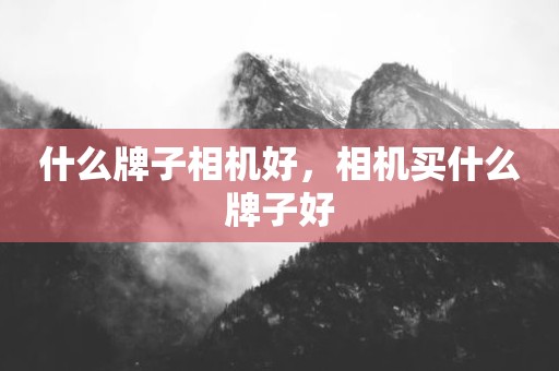 什么牌子相机好，相机买什么牌子好