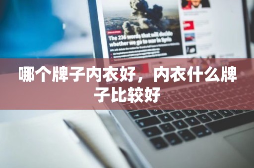 哪个牌子内衣好，内衣什么牌子比较好