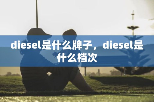 diesel是什么牌子，diesel是什么档次