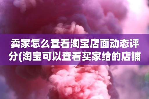 卖家怎么查看淘宝店面动态评分(淘宝可以查看买家给的店铺动态评分吗)