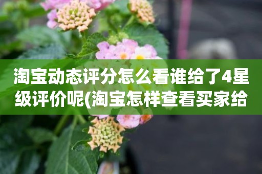 淘宝动态评分怎么看谁给了4星级评价呢(淘宝怎样查看买家给的动态评分)