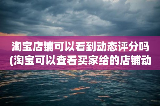 淘宝店铺可以看到动态评分吗(淘宝可以查看买家给的店铺动态评分吗)