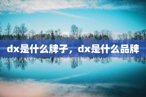 dx是什么牌子，dx是什么品牌