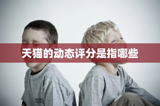 天猫的动态评分是指哪些