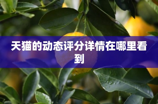 天猫的动态评分详情在哪里看到