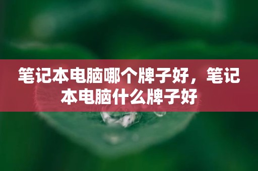 笔记本电脑哪个牌子好，笔记本电脑什么牌子好