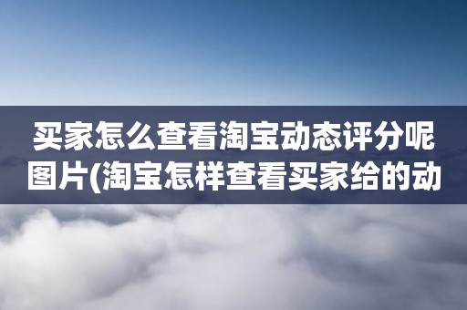 买家怎么查看淘宝动态评分呢图片(淘宝怎样查看买家给的动态评分)