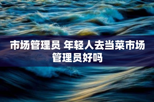 市场管理员 年轻人去当菜市场管理员好吗
