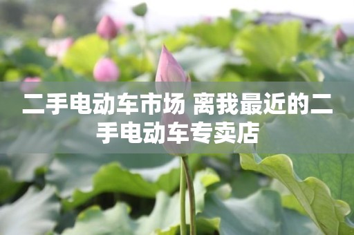 二手电动车市场 离我最近的二手电动车专卖店
