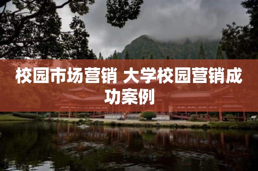 校园市场营销 大学校园营销成功案例
