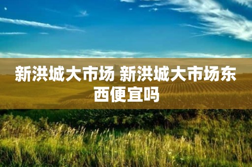 新洪城大市场 新洪城大市场东西便宜吗