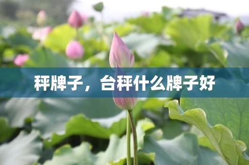秤牌子，台秤什么牌子好