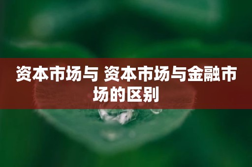 资本市场与 资本市场与金融市场的区别