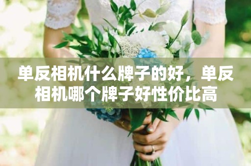 单反相机什么牌子的好，单反相机哪个牌子好性价比高
