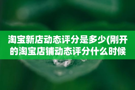 淘宝新店动态评分是多少(刚开的淘宝店铺动态评分什么时候开始显示)