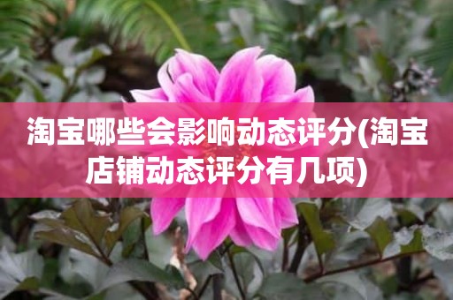 淘宝哪些会影响动态评分(淘宝店铺动态评分有几项)