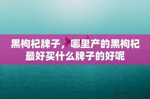 黑枸杞牌子，哪里产的黑枸杞最好买什么牌子的好呢