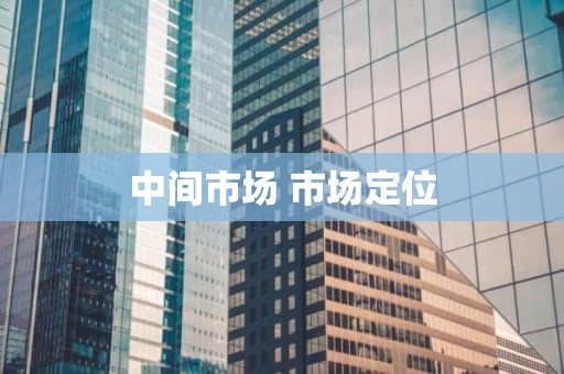 中间市场 市场定位