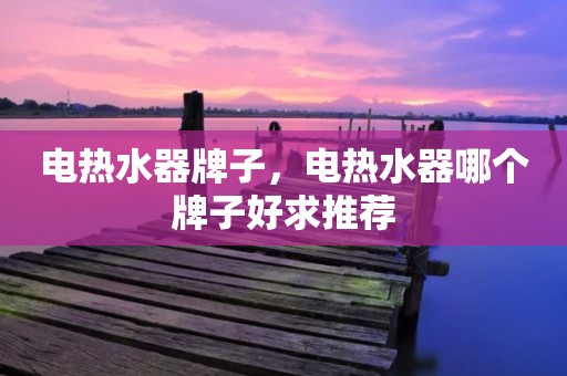 电热水器牌子，电热水器哪个牌子好求推荐