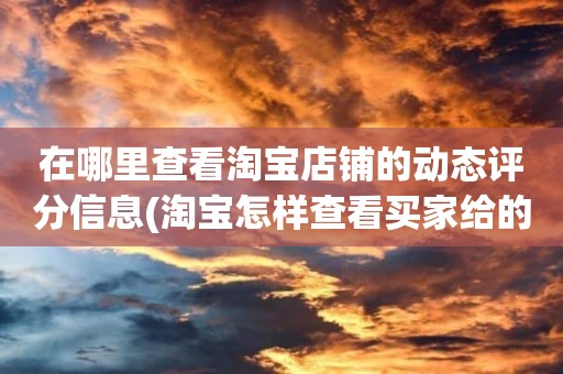 在哪里查看淘宝店铺的动态评分信息(淘宝怎样查看买家给的动态评分)