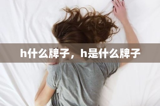 h什么牌子，h是什么牌子