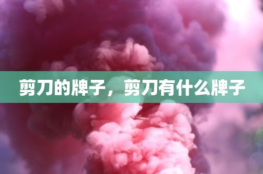 剪刀的牌子，剪刀有什么牌子