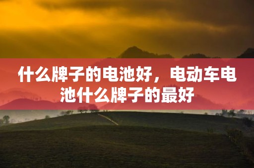 什么牌子的电池好，电动车电池什么牌子的最好