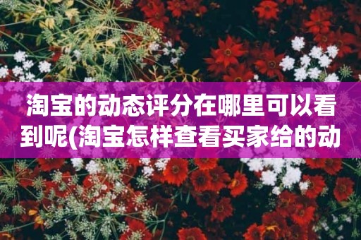淘宝的动态评分在哪里可以看到呢(淘宝怎样查看买家给的动态评分)