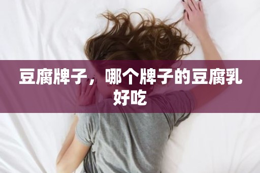 豆腐牌子，哪个牌子的豆腐乳好吃