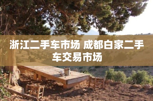 浙江二手车市场 成都白家二手车交易市场