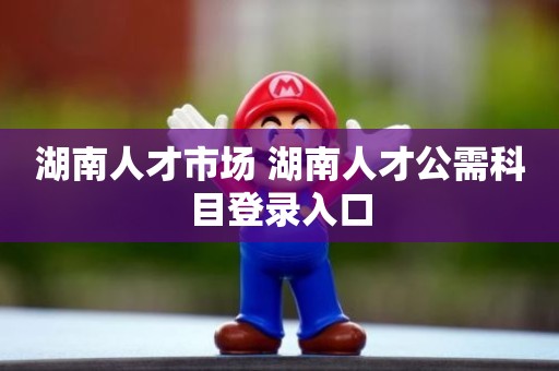湖南人才市场 湖南人才公需科目登录入口