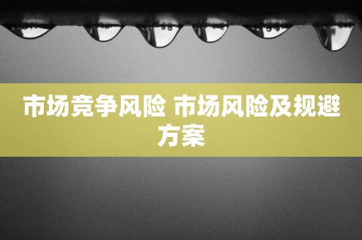 市场竞争风险 市场风险及规避方案