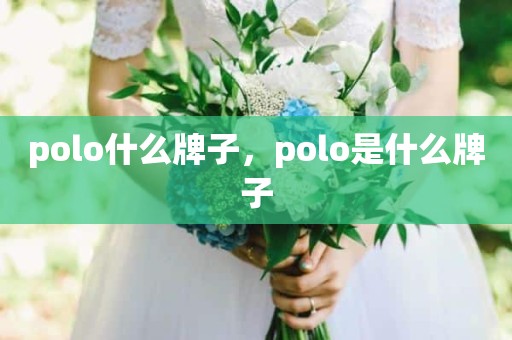 polo什么牌子，polo是什么牌子