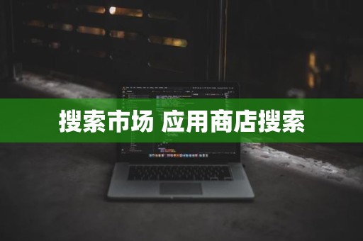搜索市场 应用商店搜索