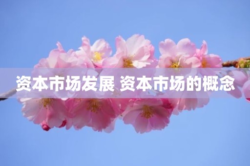 资本市场发展 资本市场的概念