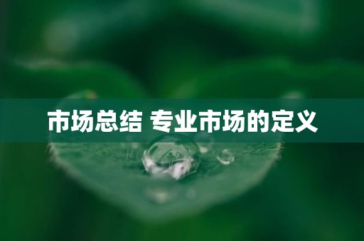 市场总结 专业市场的定义