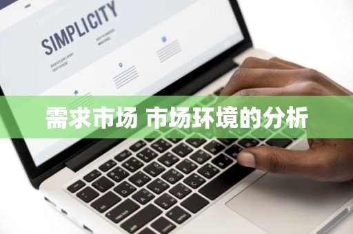 需求市场 市场环境的分析