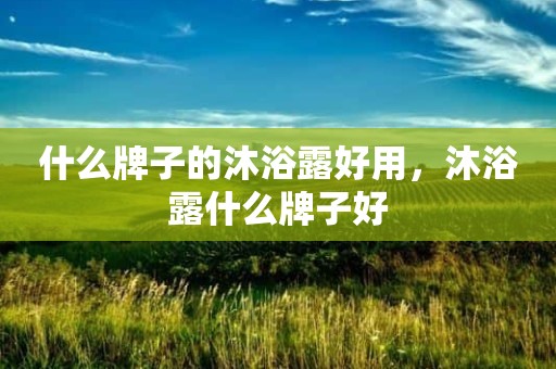 什么牌子的沐浴露好用，沐浴露什么牌子好