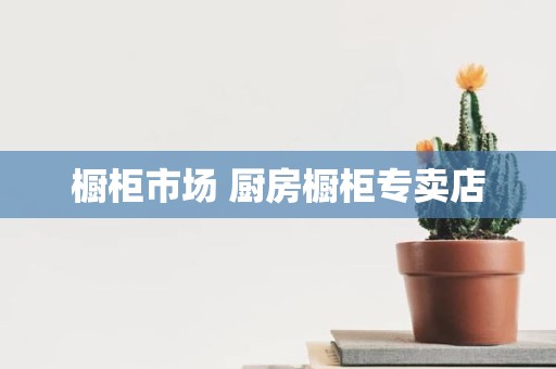 橱柜市场 厨房橱柜专卖店