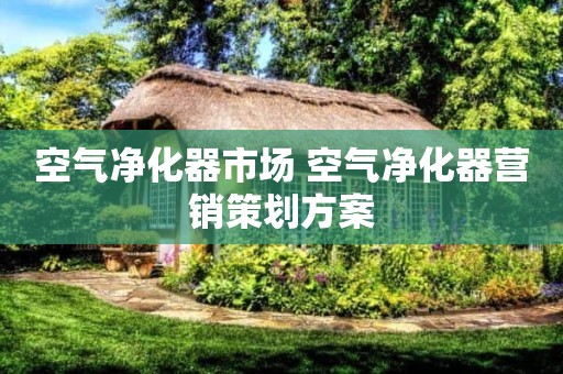 空气净化器市场 空气净化器营销策划方案