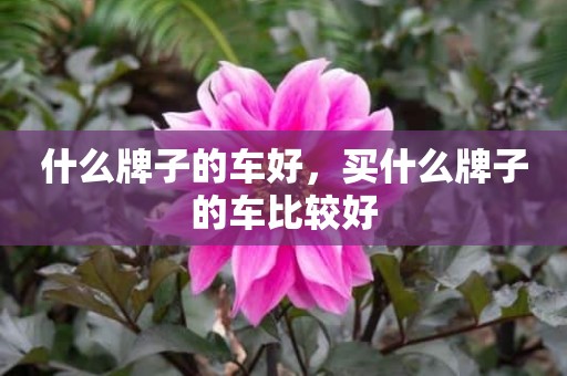 什么牌子的车好，买什么牌子的车比较好