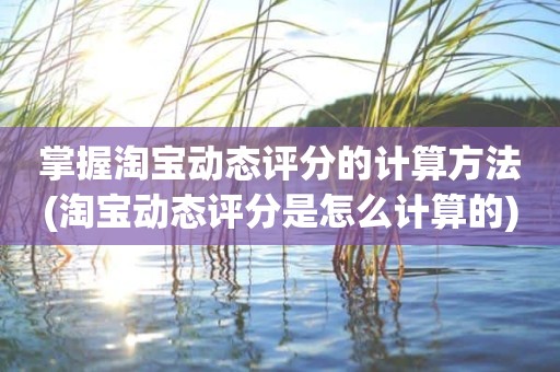 掌握淘宝动态评分的计算方法(淘宝动态评分是怎么计算的)
