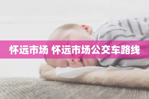怀远市场 怀远市场公交车路线