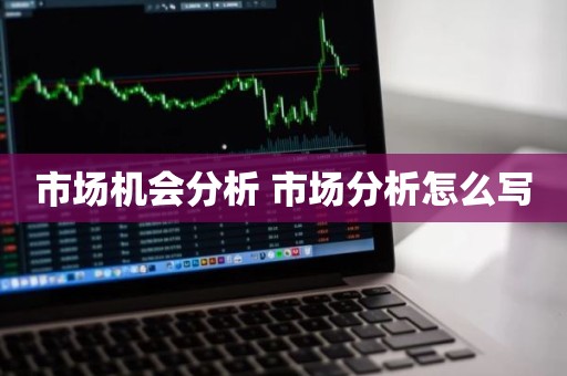 市场机会分析 市场分析怎么写