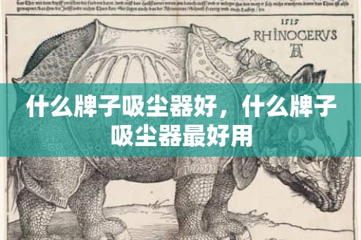 什么牌子吸尘器好，什么牌子吸尘器最好用