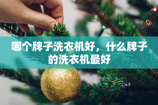 哪个牌子洗衣机好，什么牌子的洗衣机最好