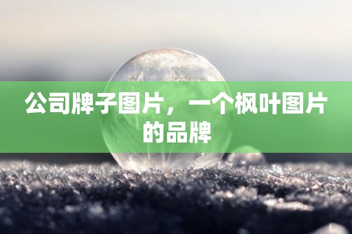 公司牌子图片，一个枫叶图片的品牌